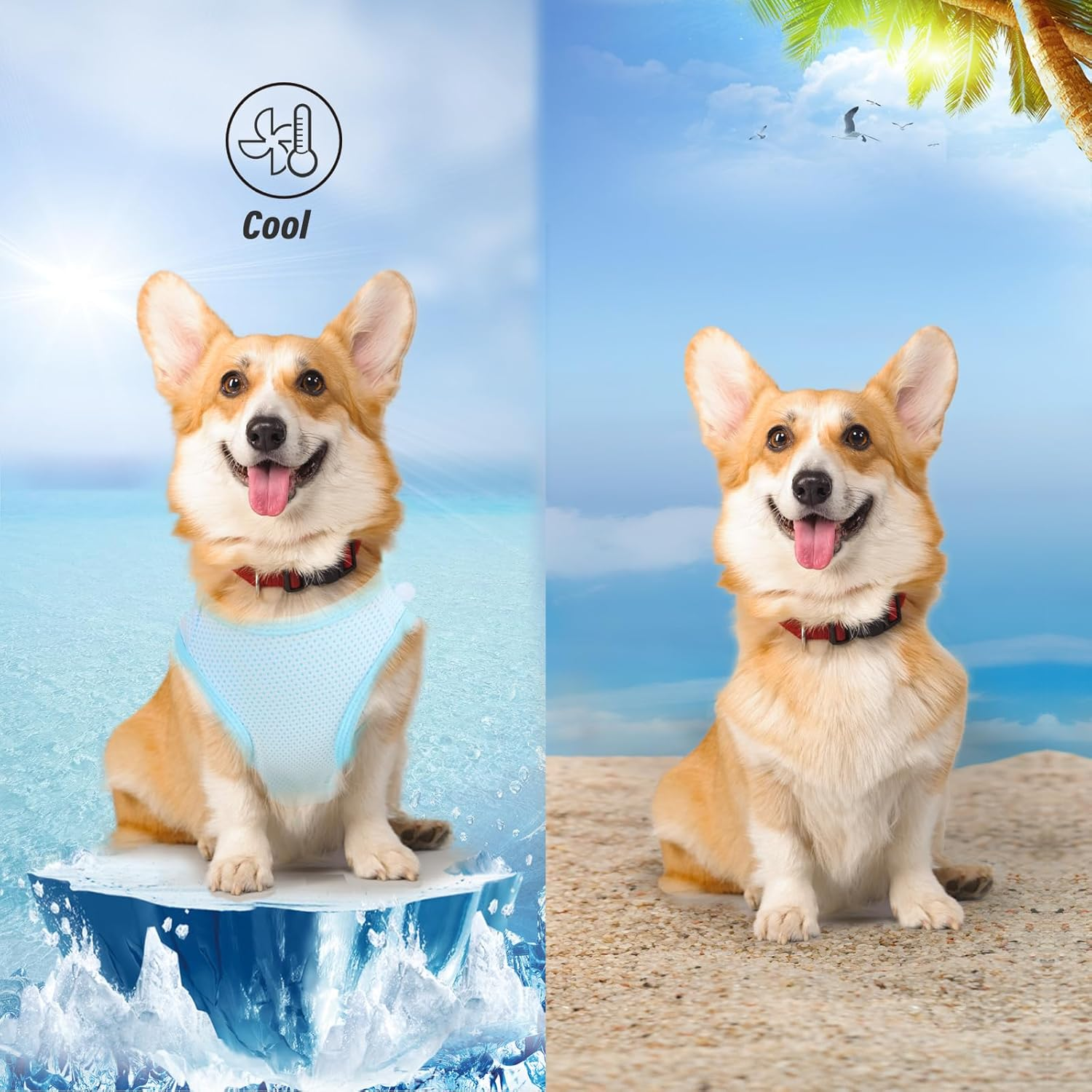 Viiotu 2 Pack Dog Cooling Vest, Lightweight Breathable Ice-Cooling T-Shirts with Reflective Strip for Small Dog Cat image number 1