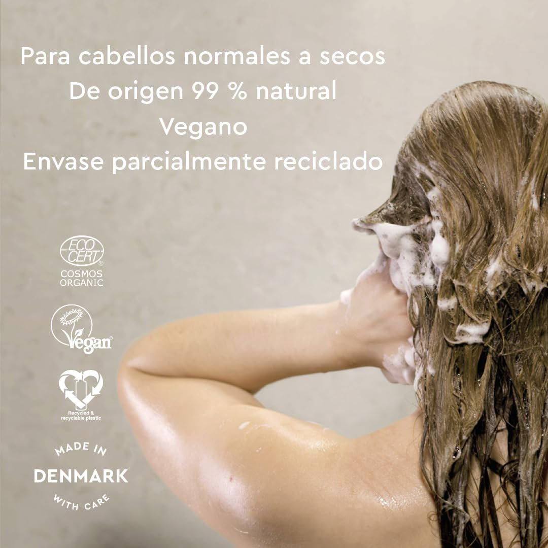 Urtekram Nordic Berry Shampoo - Moisturising & Repairing with Aloe Vera, Chia Seeds & Cloudberry - Care for Normal to Dry Hair - Vegan & Natural - 250 Ml