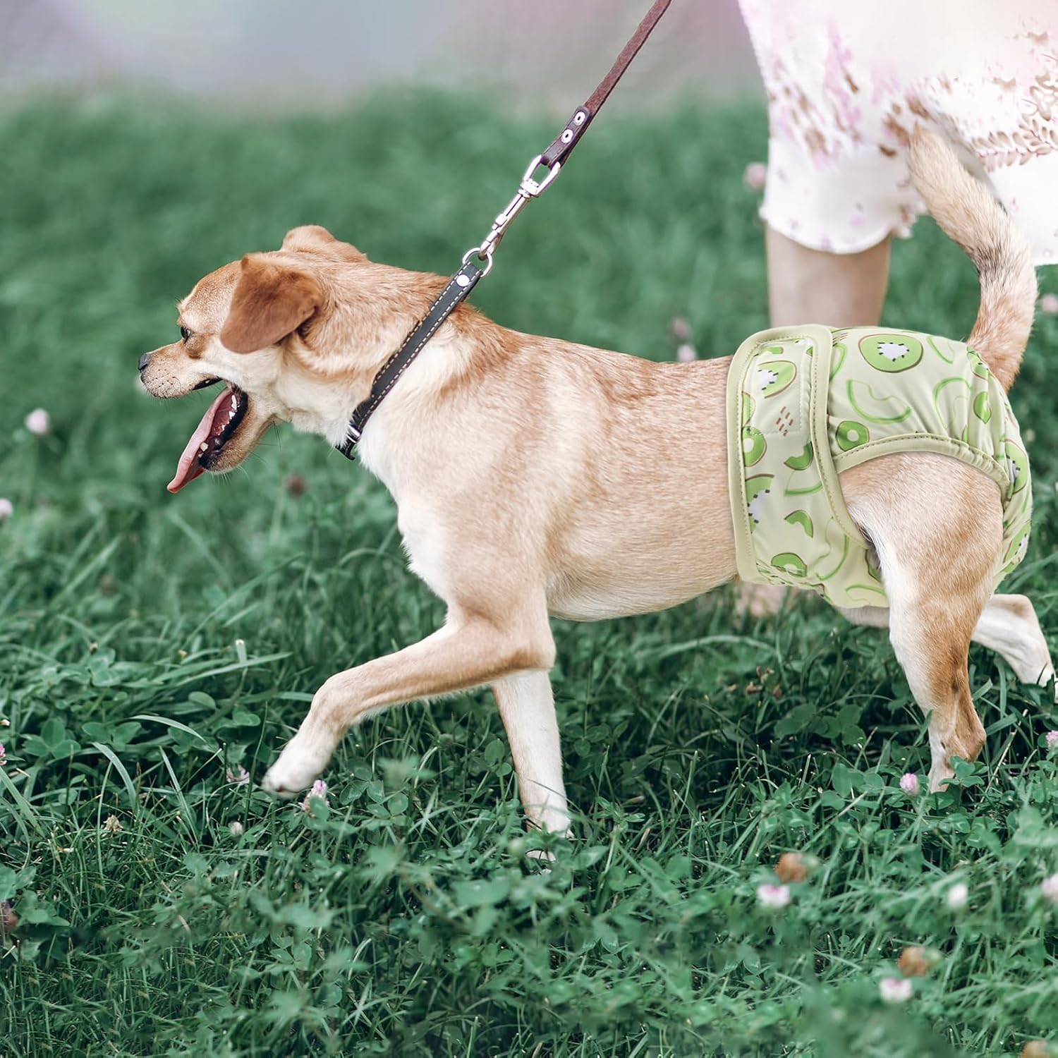 NACOCO 2 Pack Female Dog Diapers - Soft Leakproof Doggie Sanitary Panties Washable Pants in Heat Cycle Period Incontinence Adjustable for Medium Large Dog (Large) image number 2