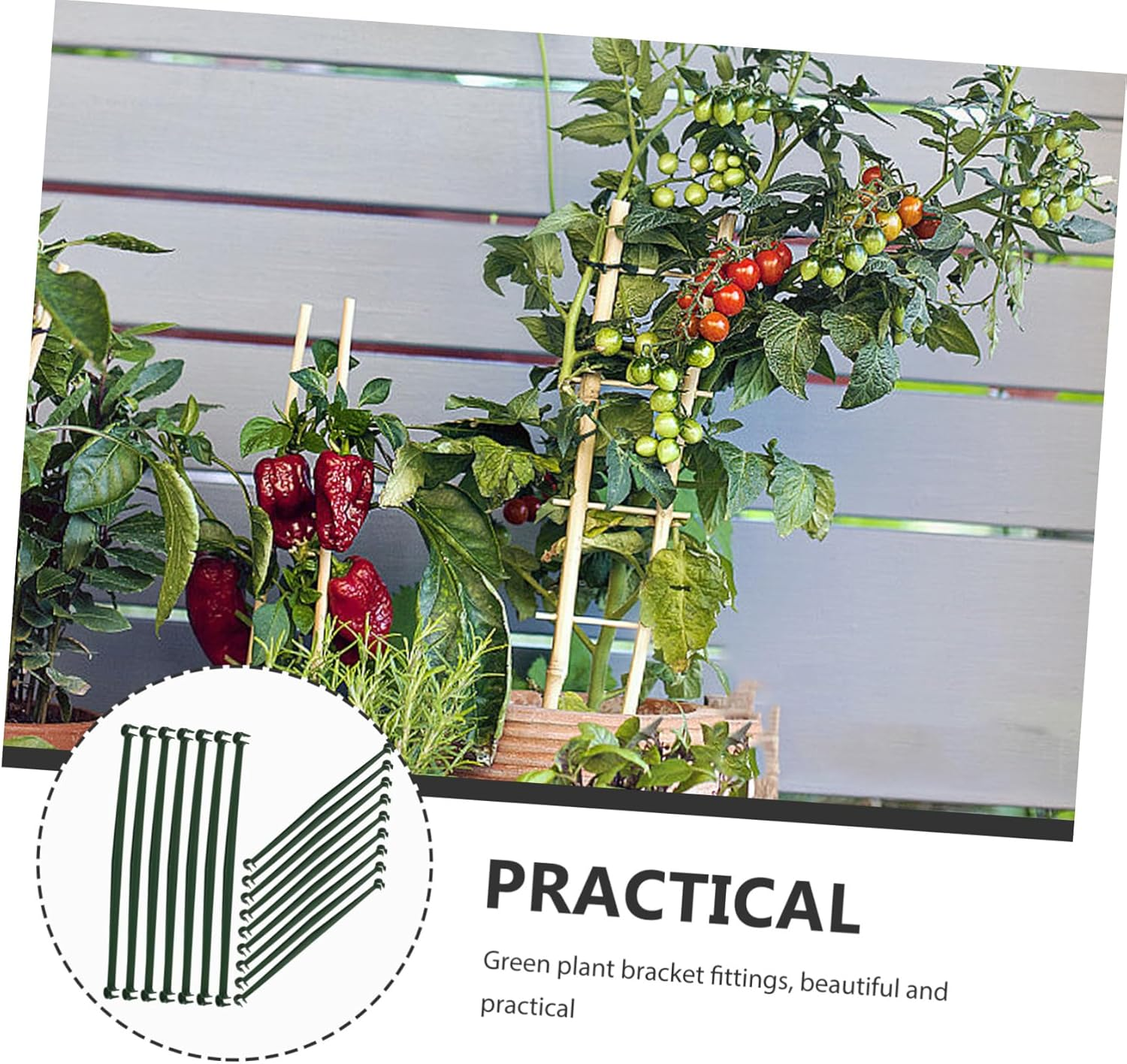 Kisangel 36Pcs Stakes and Supports Plant Support Rack for Gardening Cage DIY Stake Arms Plant Cage Trellis Connectors image number 1