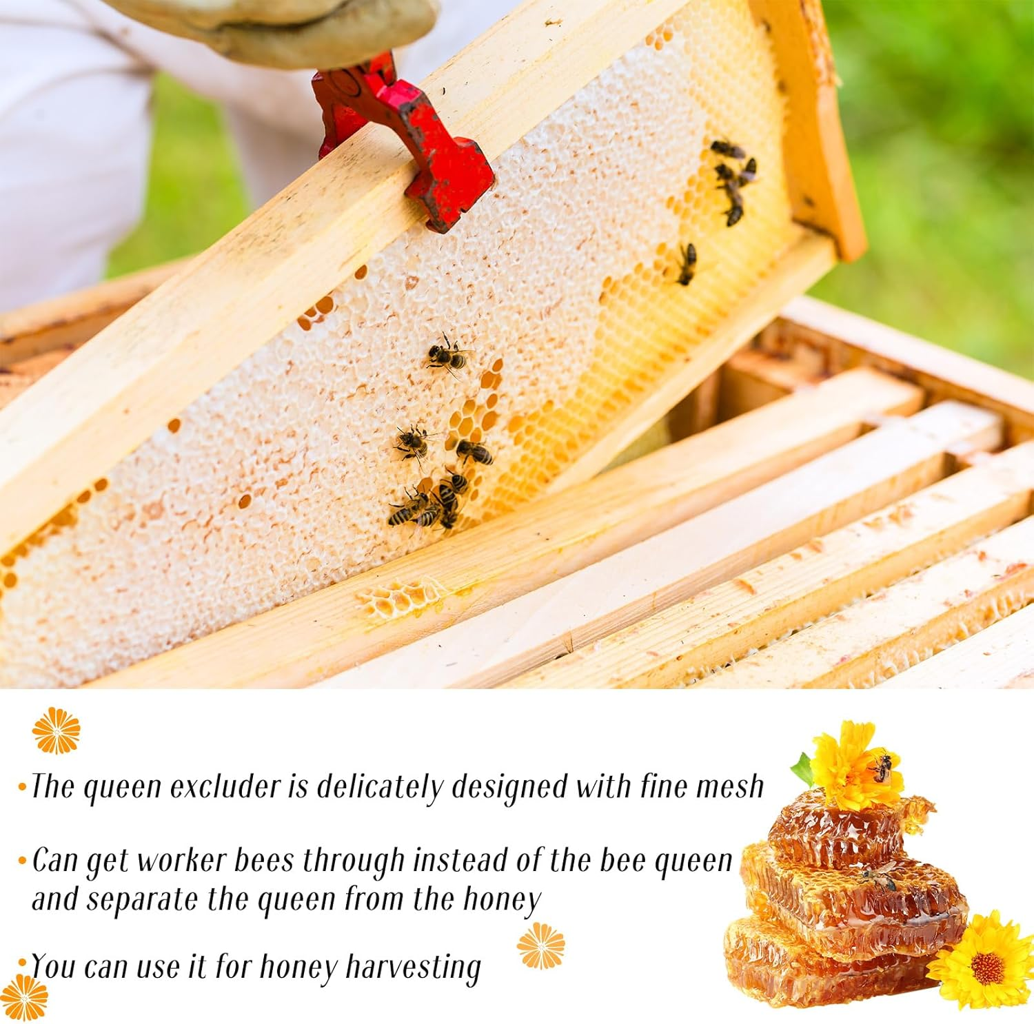 Rtteri 10 Pcs 8 Frame Plastic Queen Excluder Queen Bee Excluder for Bee Hive Beekeeping, Separating Queen Bees from Honey, Beekeepers Looking to Harvest Honey (Yellow,8 Frame) image number 3