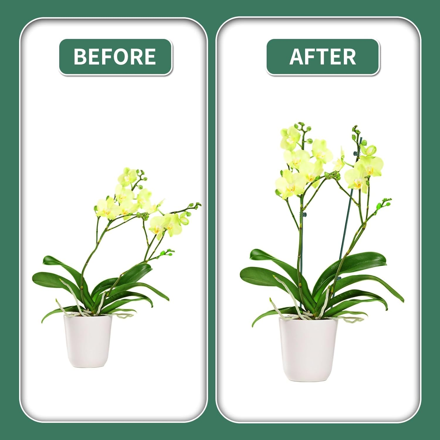 10Pcs Plant Support Stakes with 15 Pcs Clips, 16-Inch Tall Bendable Single Stem Flower Sticks for Indoor and Outdoor Plants, Orchid Clips (Green) image number 1