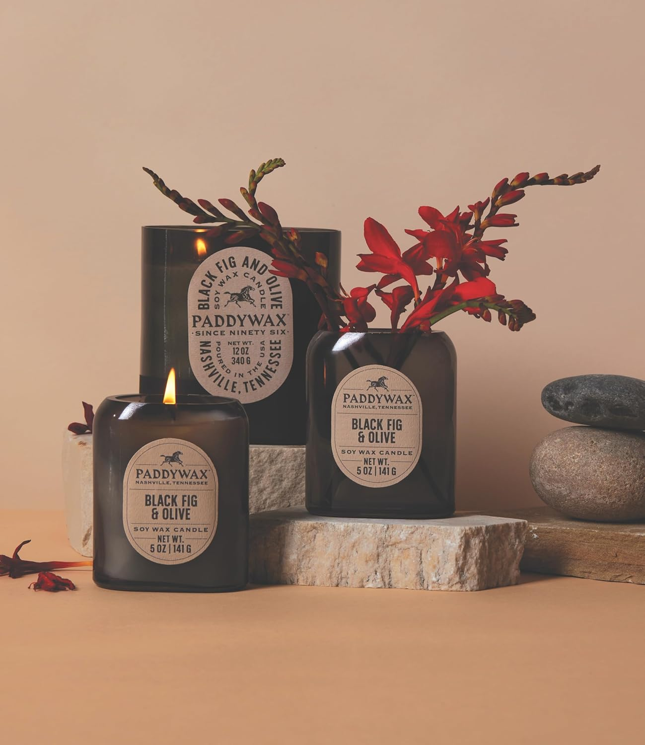 Paddywax Candles Vista Collection Scented Candle, 12-Ounce, Black Fig & Olive, 12 Ounces image number 1