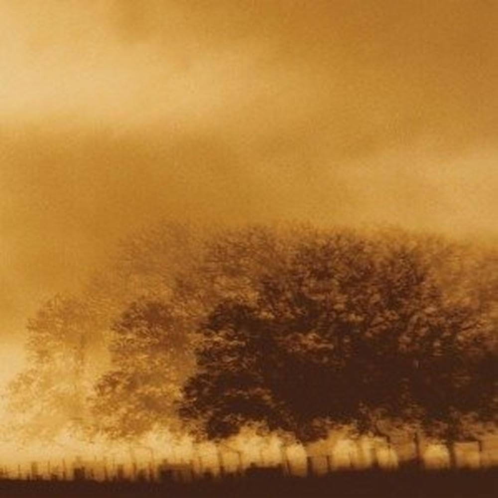 Infinite Light Ltd. image number 1