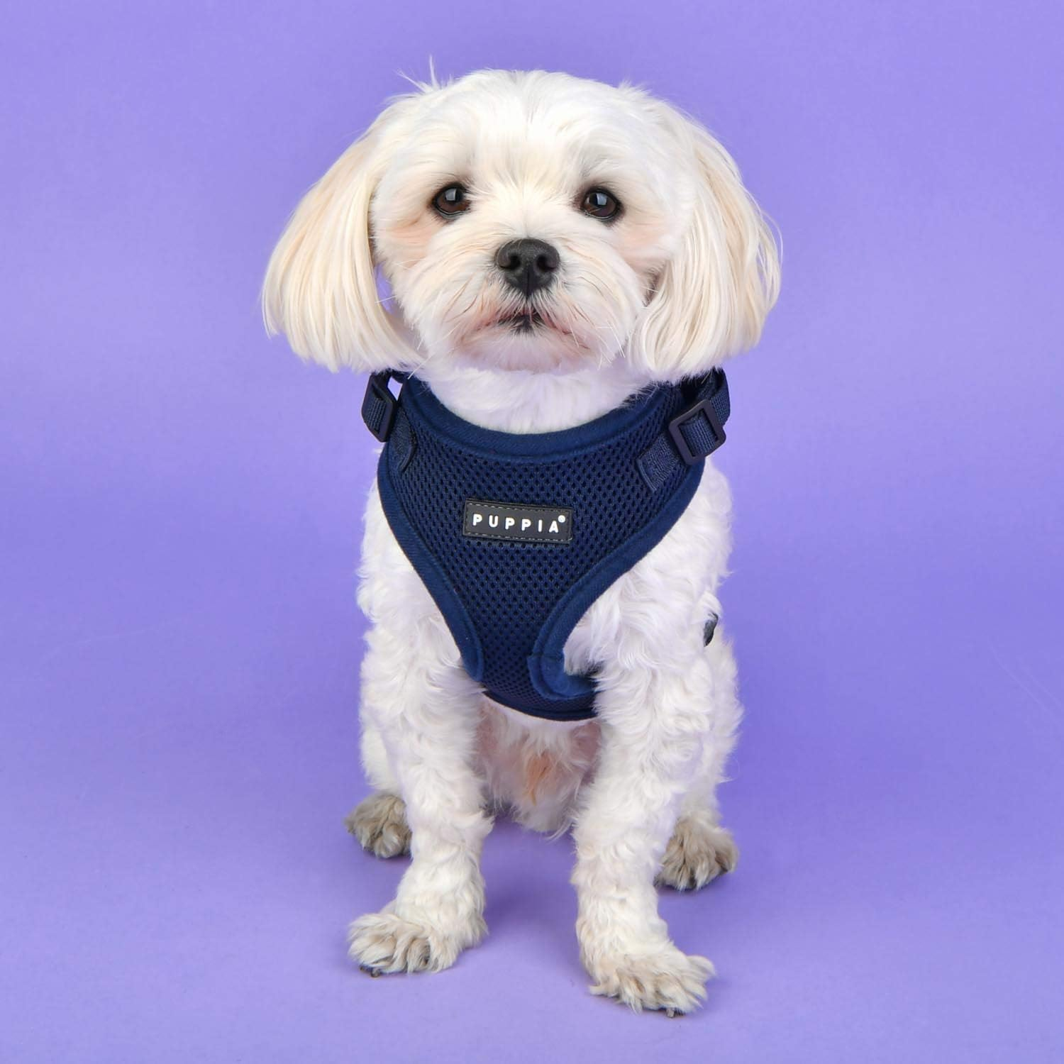 Authentic Puppia Ritefit Harness with Adjustable Neck image number 2