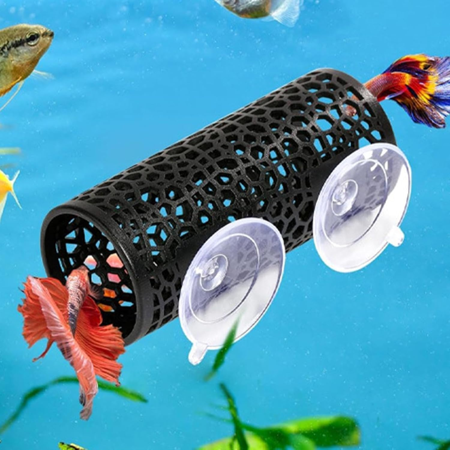 Betta Fish Tube Toy - Hollow Cave Tunnel with Suction Cups, Aquarium Decor Tank Accessories Decorations Hideout, Pink (Black) image number 3