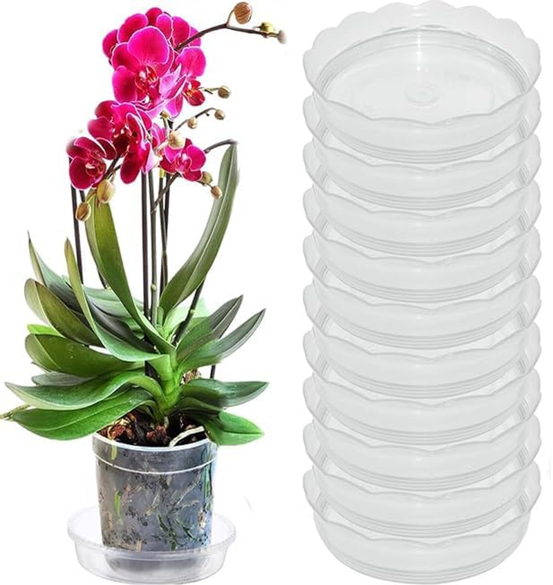 10 Pieces of Clear Plastic Plant Saucer Drip Trays for Pots (14Cm)