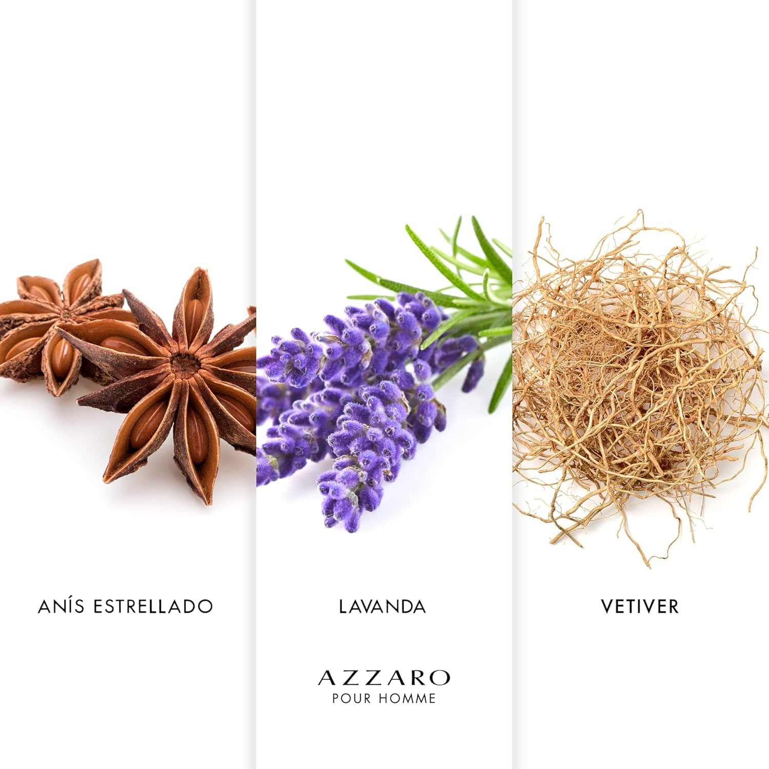 Loris Azzaro Eau De Toilette for Men, 30Ml image number 1