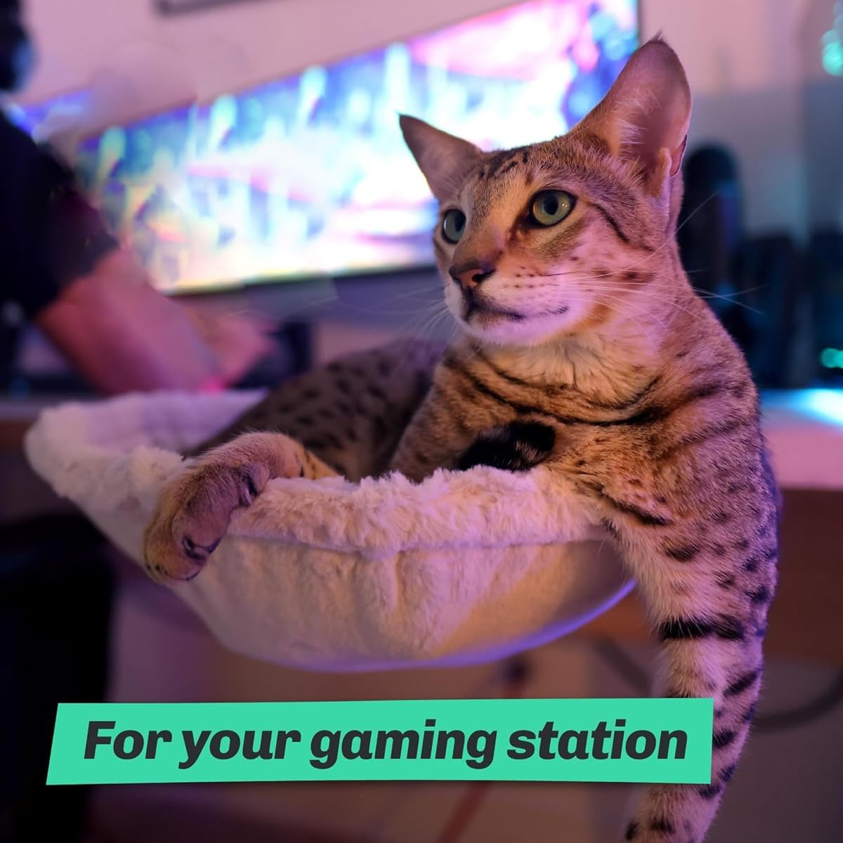 AIMALL Adjustable Desk Cat Hammock, Ergonomic Space-Saving Cat Bed with Comfortable Soft Material for Kittens & Small Pets - Rotating, Easy to Install, Space-Efficient Pet Supplies image number 2