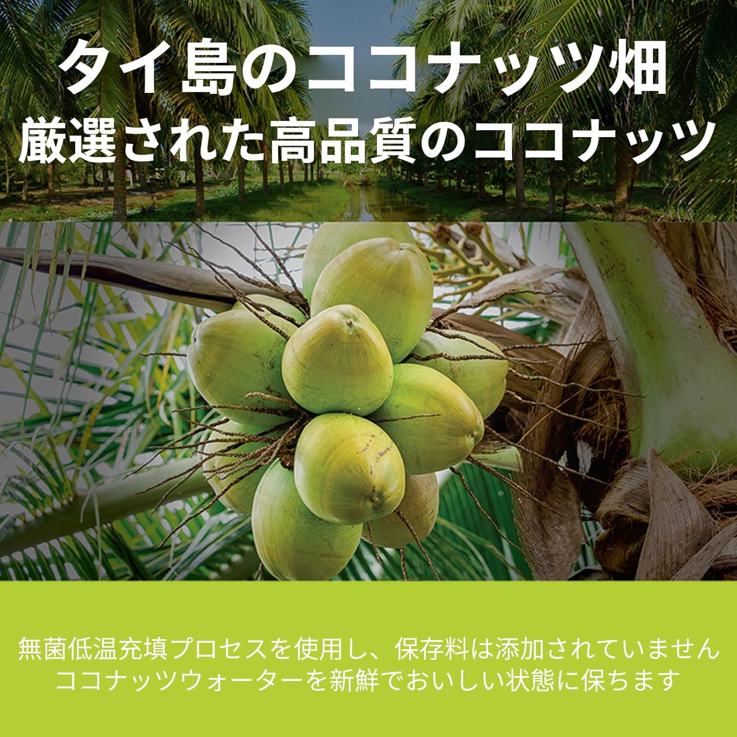 IF 100% Coconut Water 350Ml*24 image number 5