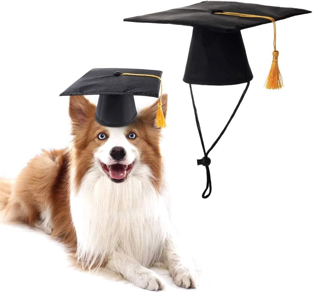 Dog Graduation Cap Dog Grad Cap Pet Graduation Caps Hats Halloween Costume Small Dog Graduation Hats with Tassel for Dogs Cats Holiday Costume Accessory Cat Doctor Hat Party Apparel Dog Outfits image number 2