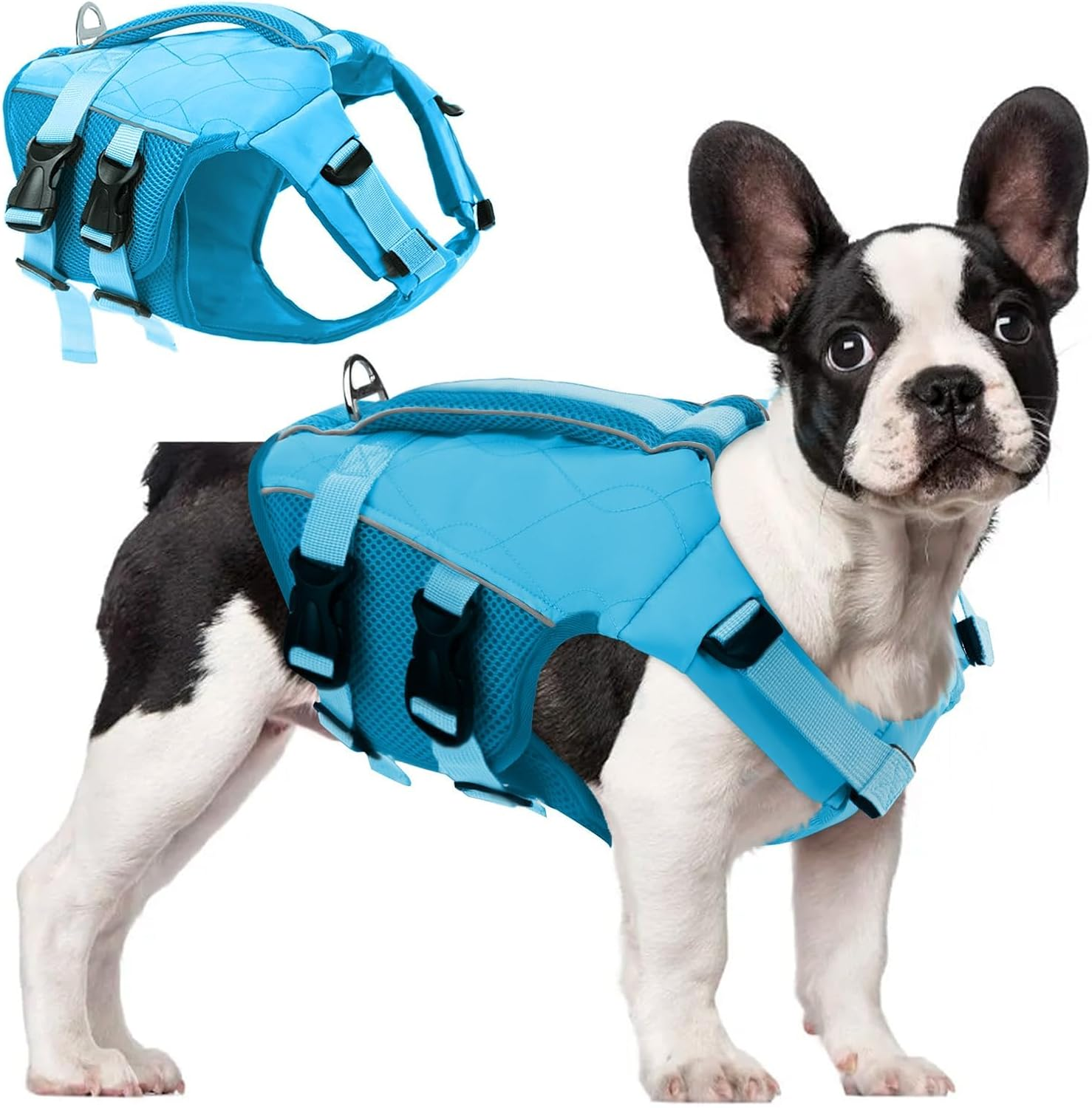 ASENKU Dog Life Jacket - Pet Safety Vest for Swimming & Boating, Shark Life Jacket with Floatation, Dog Lifesavers Swimsuits for Small Medium Large Dogs (Green, XS)