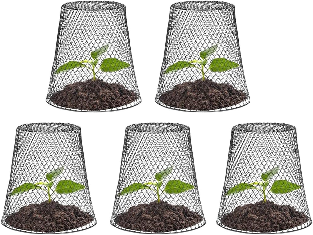 HYAVIA 5 Pack Metal Plant Protectors &ndash; Chicken Wire Cloche Covers for Pots & Gardens, Mesh Barriers to Protect Flowers, Vegetables, and Fruits from Animals (Black) image number 4