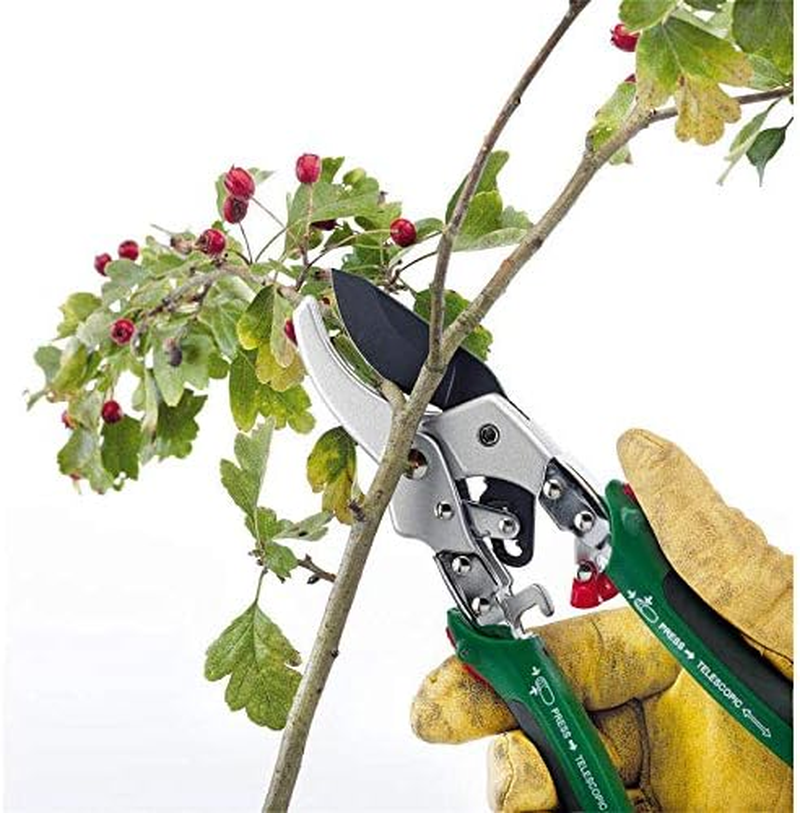 Draper Expert 36542 2-In-1 Bypass Pattern Pruner and Mini Lopper image number 1