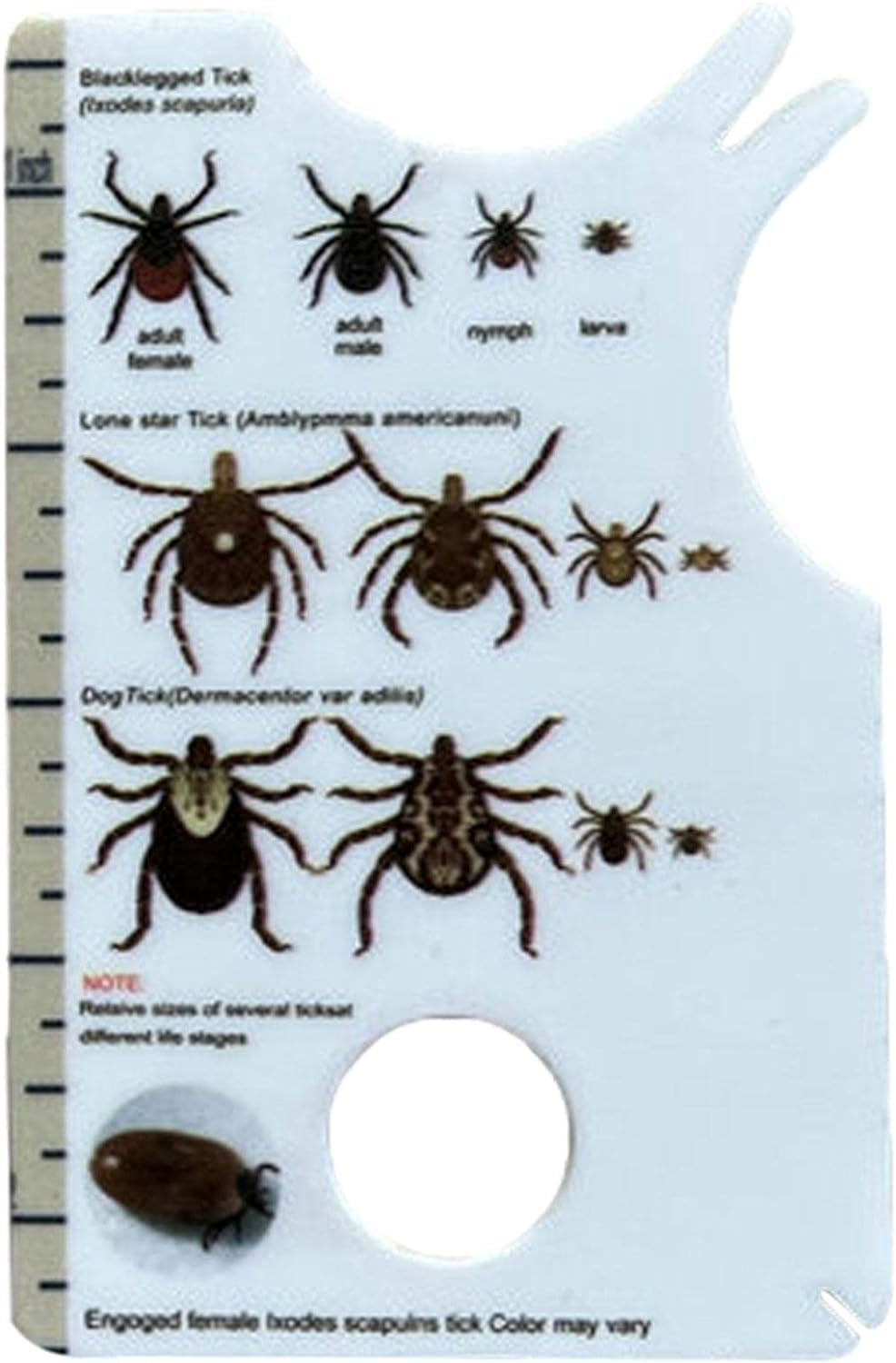 1 X Human Tick Card, Allows Easy Removal of Ticks, Tick Remover for Dogs and Cats in Handy Pocket Size, 8.5 X 5.4 X 0.1 Cm, Pest Protection, Tick Removal in Dogs image number 4