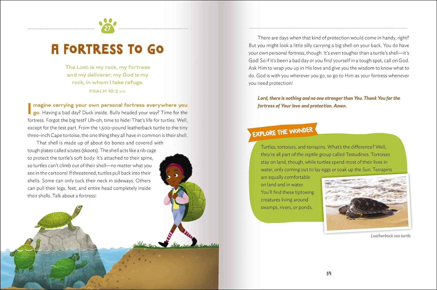 The Wonder of Creation: 100 More Devotions about God and Science image number 5