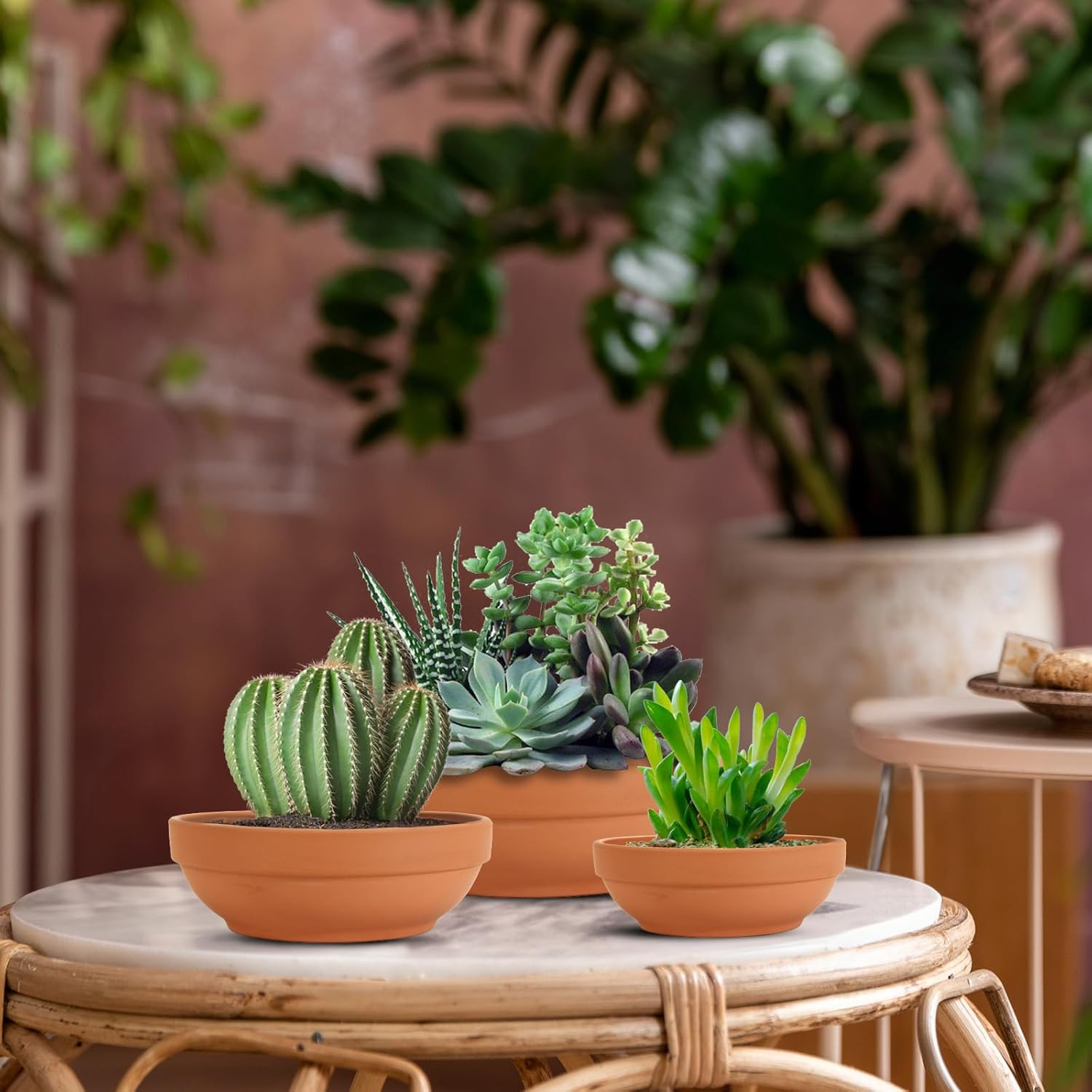 Laergin 6.43 Inch Shallow Terra Cotta Pots with Drain Hole - Clay Plant Pots for Indoor/Outdoor Plants (6 Pack) image number 4