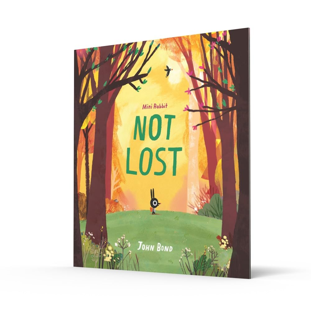 Mini Rabbit (1) - Not Lost image number 3