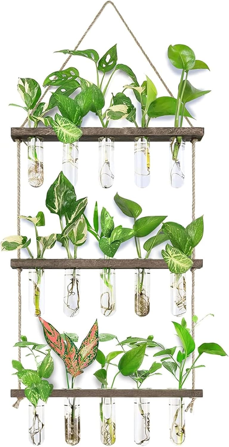 Wall Hanging Propagation Station with Wooden Stand, 5 Glass Test Tubes, 3-Tiered Planters, Wall Terrarium for Home or Office, Hydroponic Cuttings, Plant Hanger, Flower Vases Wall Decor image number 2