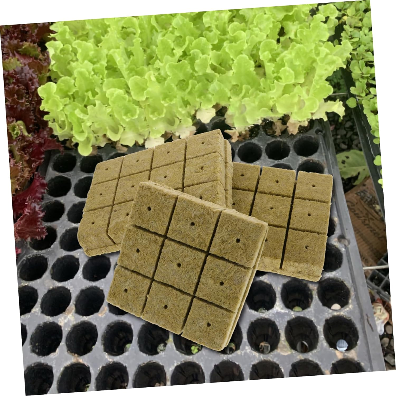 Board Nutrition Block for Hydroponics Growing System Small Cultivation Nursery Block High Water Retention for Herb Growing Kit Indoor and Garden Supplies image number 3