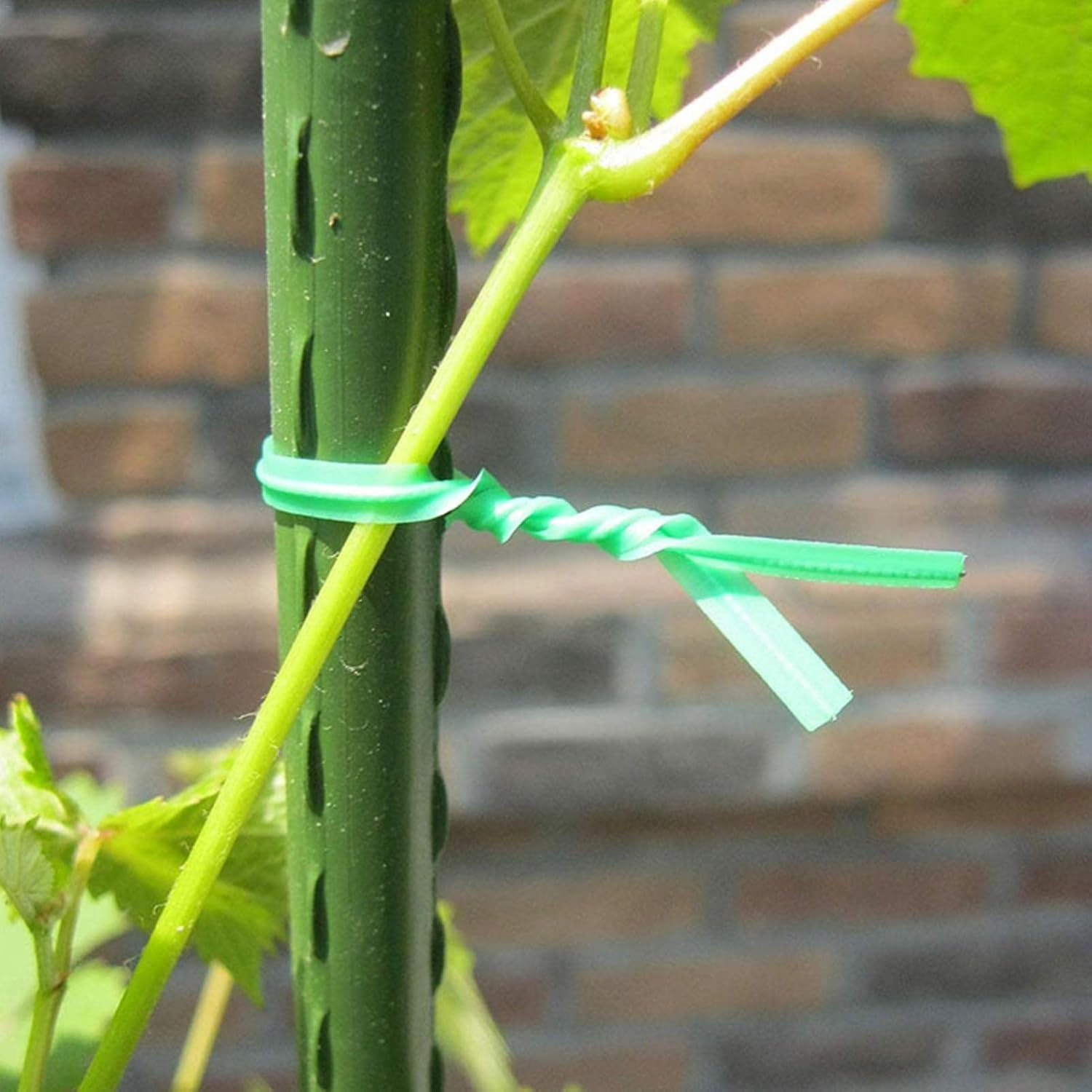 Plant Ties for Support,Garden Support Ties - Gardening Plant Support, Green Florist Wire with Cutter, Floristry Arrangement Supplies, Universal Wire (Size : S) image number 1