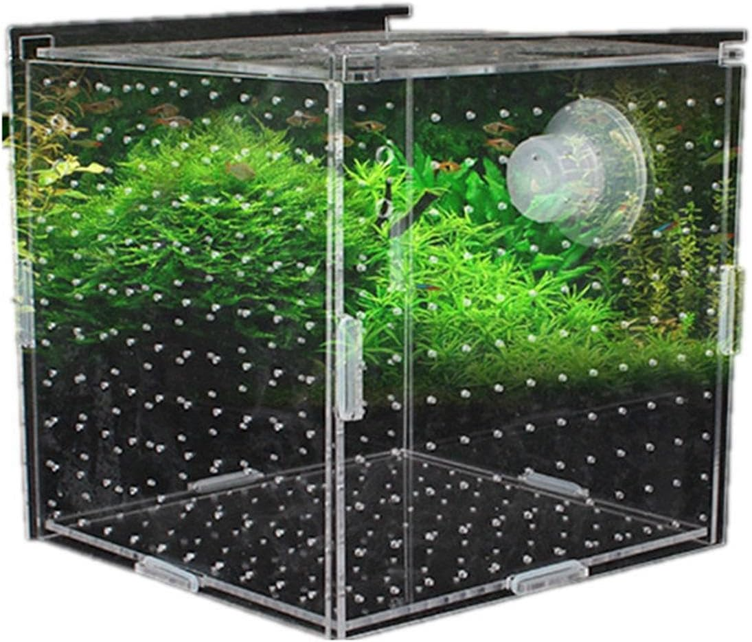 Dualoai Clear Acrylic Fish Breeding Enclosure for Aquatic Pets, 8Cmx8Cmx8Cm image number 5
