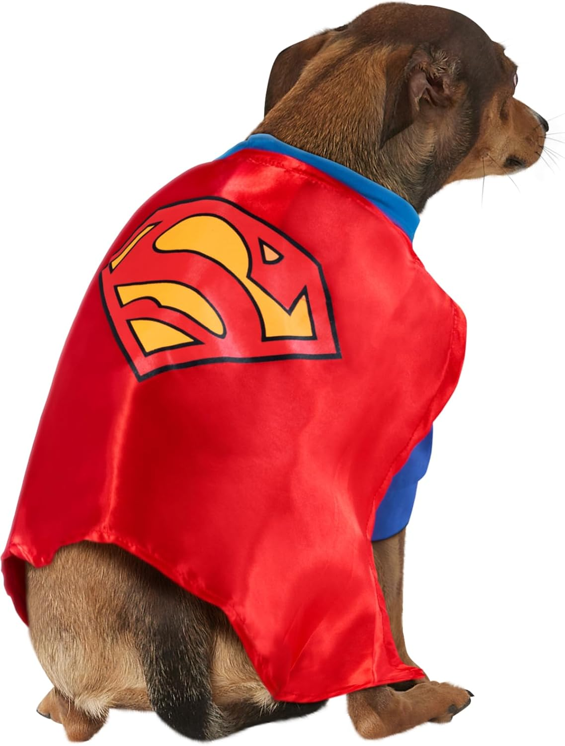 DC Comics Superman Shirt and Cape Pet Costume, as Shown image number 5