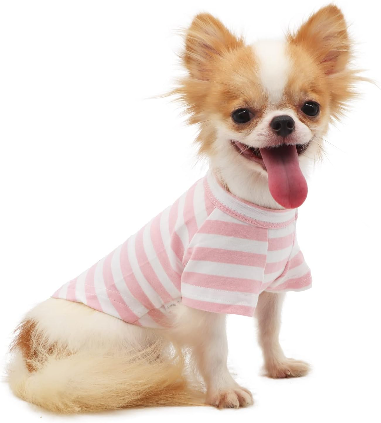 LOPHIPETS 100% Breathable Cotton Striped Dog Tee Shirt T-Shirt for Small Dogs Chihuahua Puppy Clothes -Orange and Blue Strips/M