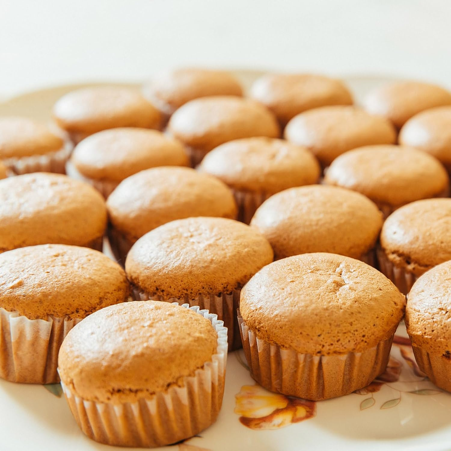 1000 Pcs White Mini Cupcake Liners, Greaseproof Small Muffin Liners Baking Cups, Disposable Candy Paper Cup Wrappers for Wedding Birthday Party (White)