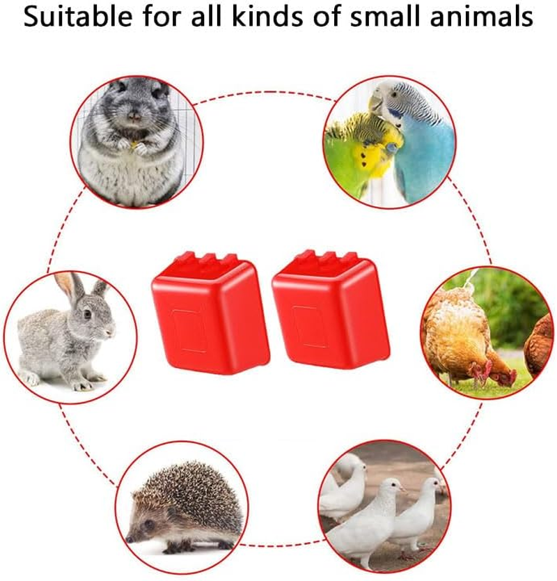 WADY 6 Pcs Cage Cups,16 Oz Hanging Chicken Feeder & Waterer for Birds, Bunny, Parrot, Rooster, Parakeet, Gamefowl, Poultry & Pigeon - Durable Wire Hutch Accessories (Red) image number 6