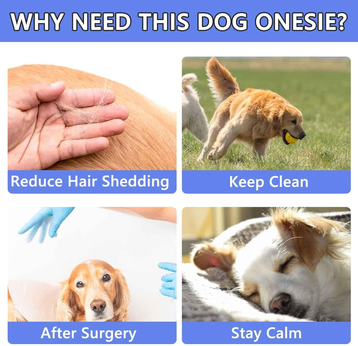 Due Felice Dog Onesie Surgical Recovery Suit for after Surgery Pet anti Shedding Bodysuit Long Sleeve Anxiety Shirt for Female Male Dog Purple/M image number 3