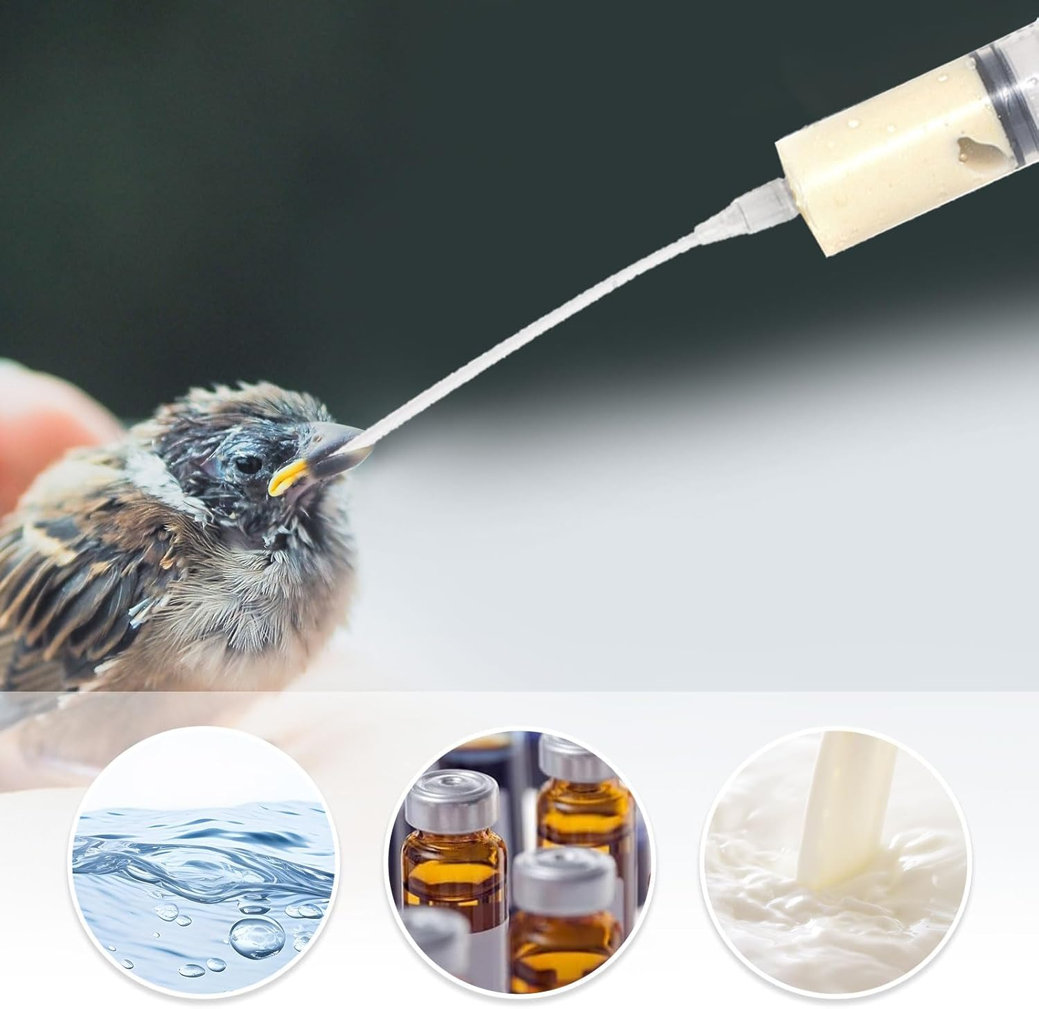 Aiyraa Pack of 12 Syringes with Hose, 20 Ml Syringe Set, Feeding Tool for Young Birds, Parrots, Pigeons, Ideal for Milk, Water, Medication, Easy to Clean image number 3