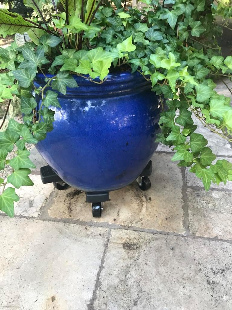 Bosmere down under Plant Caddie S18410LVC, 16", Charcoal, Inch image number 1