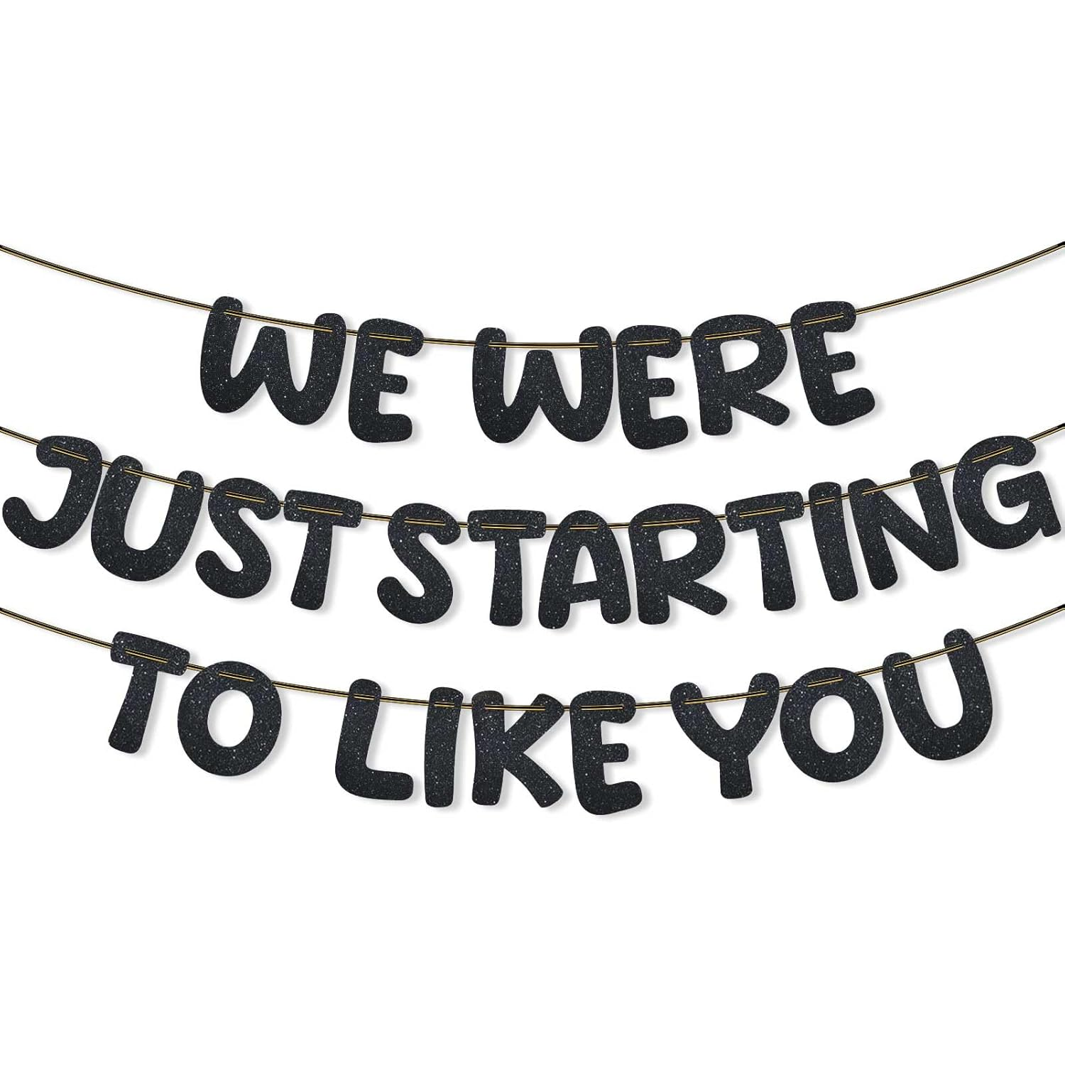 We Were Just Starting to like You Banner, Pre Strung Going Away Party Decorations Glitter Banner Bunting for Farewell Moving New Job Will Miss You Funny Retirement Party Supplies (Black) image number 4