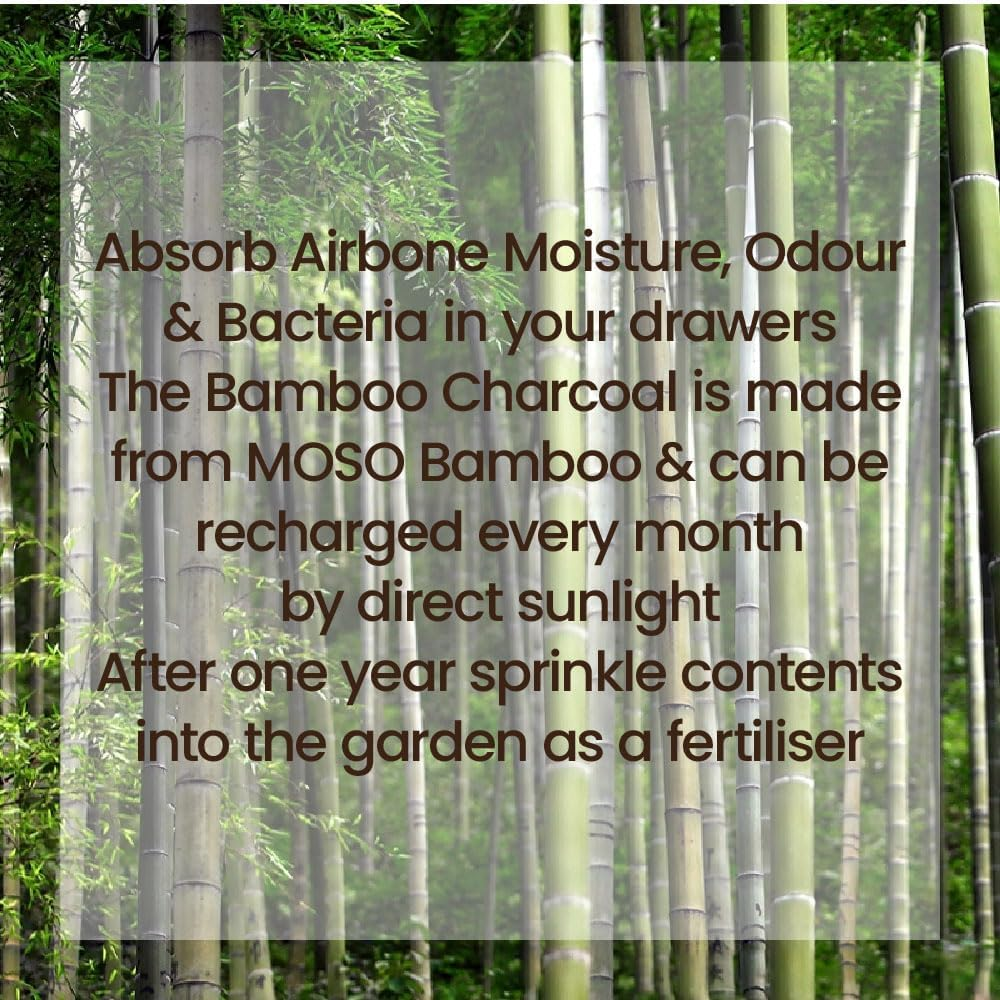 Eco Basics Shoe Deodoriser Twin Pack &ndash; 18X6X4 Cm. Bamboo Charcoal Absorbs Moisture, Bacteria, and Odours. Reusable by Sun Exposure. Lasts 1 Year; Eco-Friendly Compostable Charcoal for Garden Use. image number 6