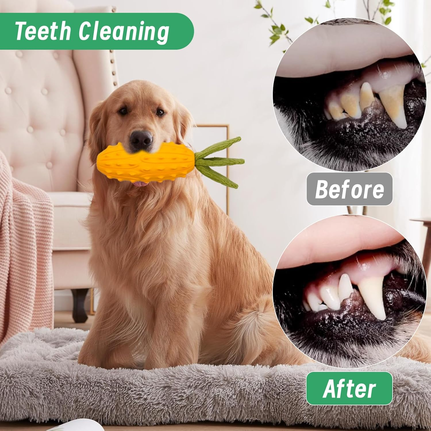 LIFLIX Squeaky Dog Toys, Durable Dog Chew Toys, Strong Tough Dog Toy with Natural Rubber, Teething Chew Toys for Small Medium Large Dogs, Kiwano Horned Cucumber Shape image number 1