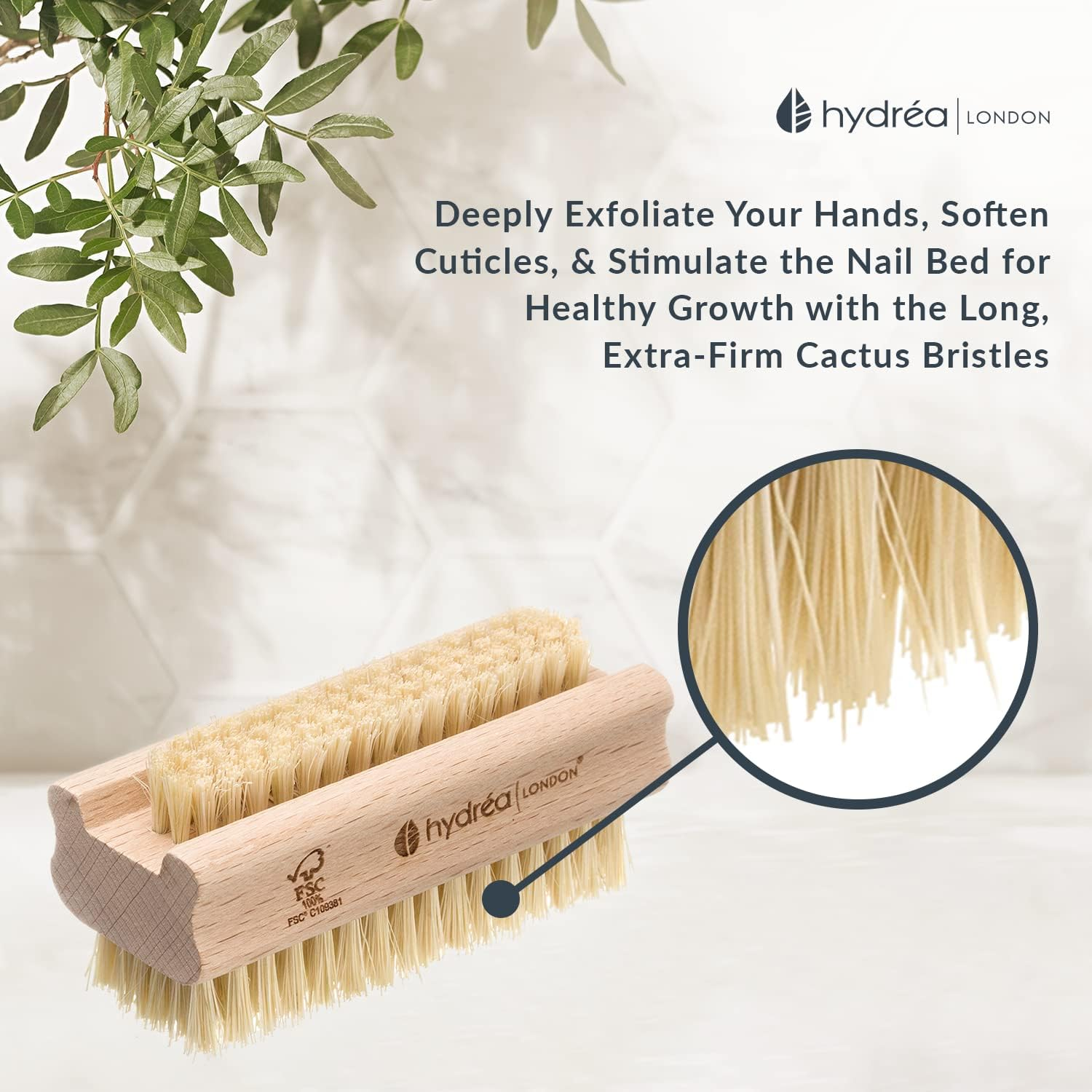 Hydrea London Nail Brush - Double-Sided Pedicure & Manicure Brush with Natural Cactus Bristles - 100% Vegan Hand Scrub, Fingernail Cleaner, & Tough Toenail Cleaning Scrubber - FSC&reg; Certified Beechwood image number 1