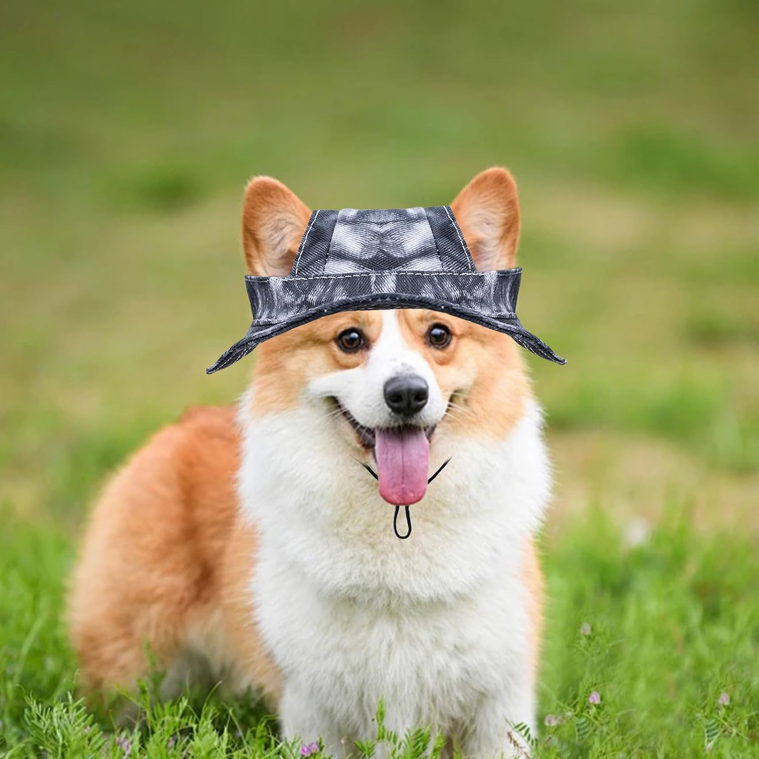 Dog Sun Hat,1Pc Adjustable Princess Dog Bucket Hat with Ear Holes,Round Brim Dogs Visor Cap Pet Fisherman Hat for Pupies Small Dogs Cat Outdoor Sport (Black, Small) image number 5