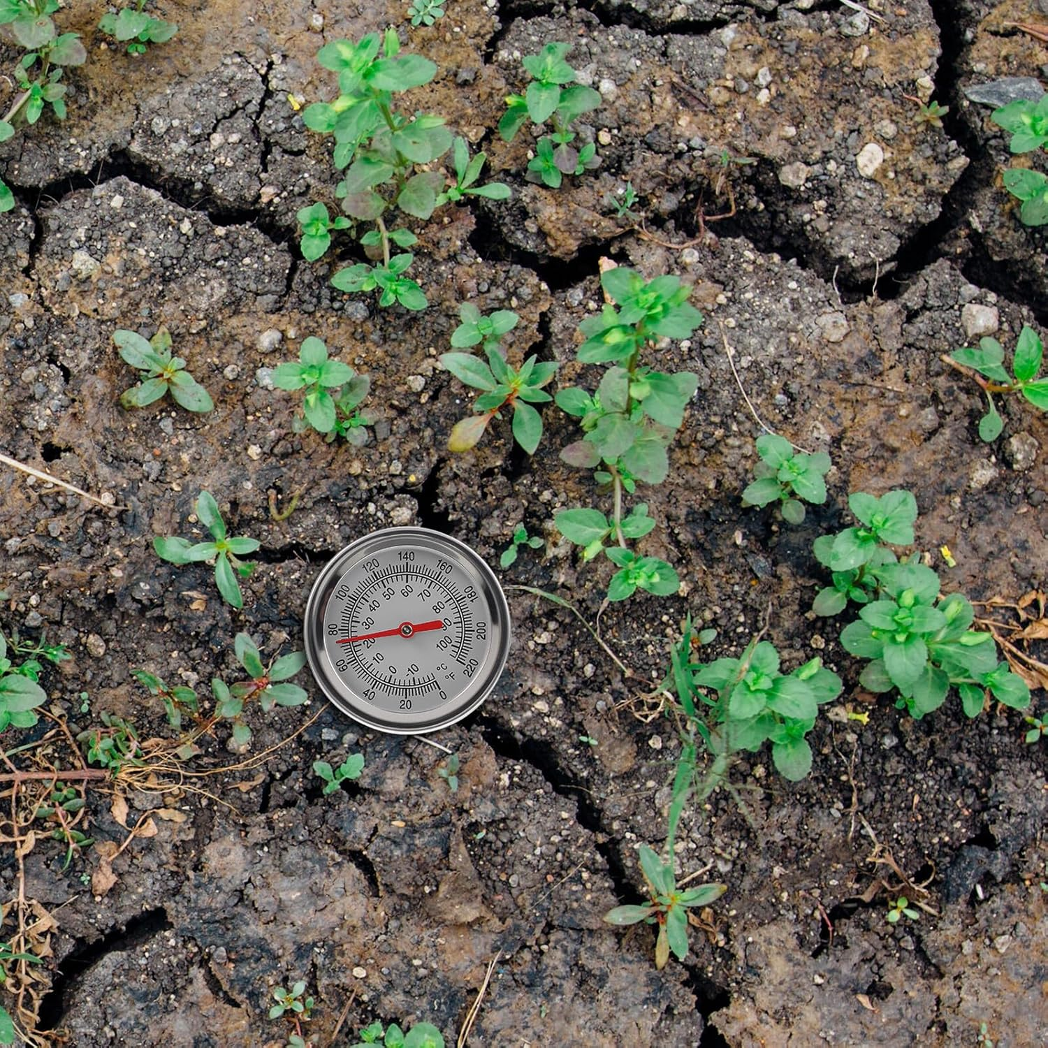 Professional Stainless Steel Compost Thermometer with Extra-Long Probe Accurate Soil Temperature Gauge for Gardening and Composting Clean Measuring Tool image number 3