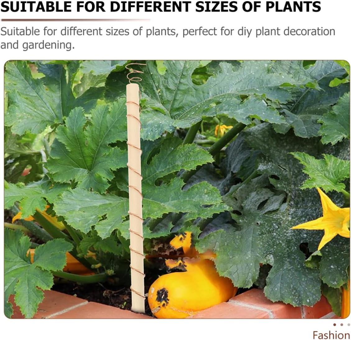 Kisangel Electroculture Plant Stakes for Gardening Stakes and Supports Plant Support Kit image number 5