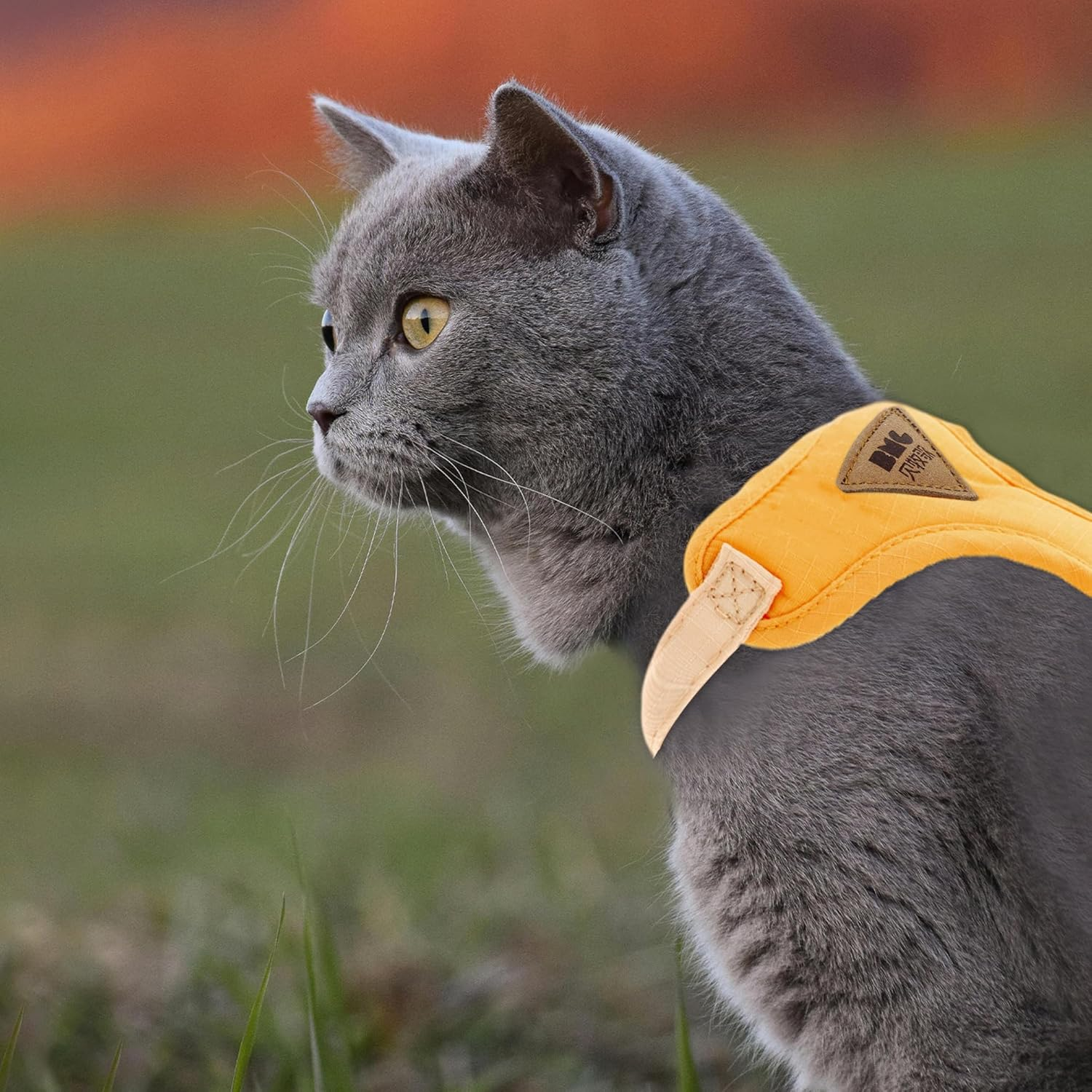 CAPASTEC Soft Cat Harness and Leash Set, Breathable Kitten Harness, Yellow, L image number 5