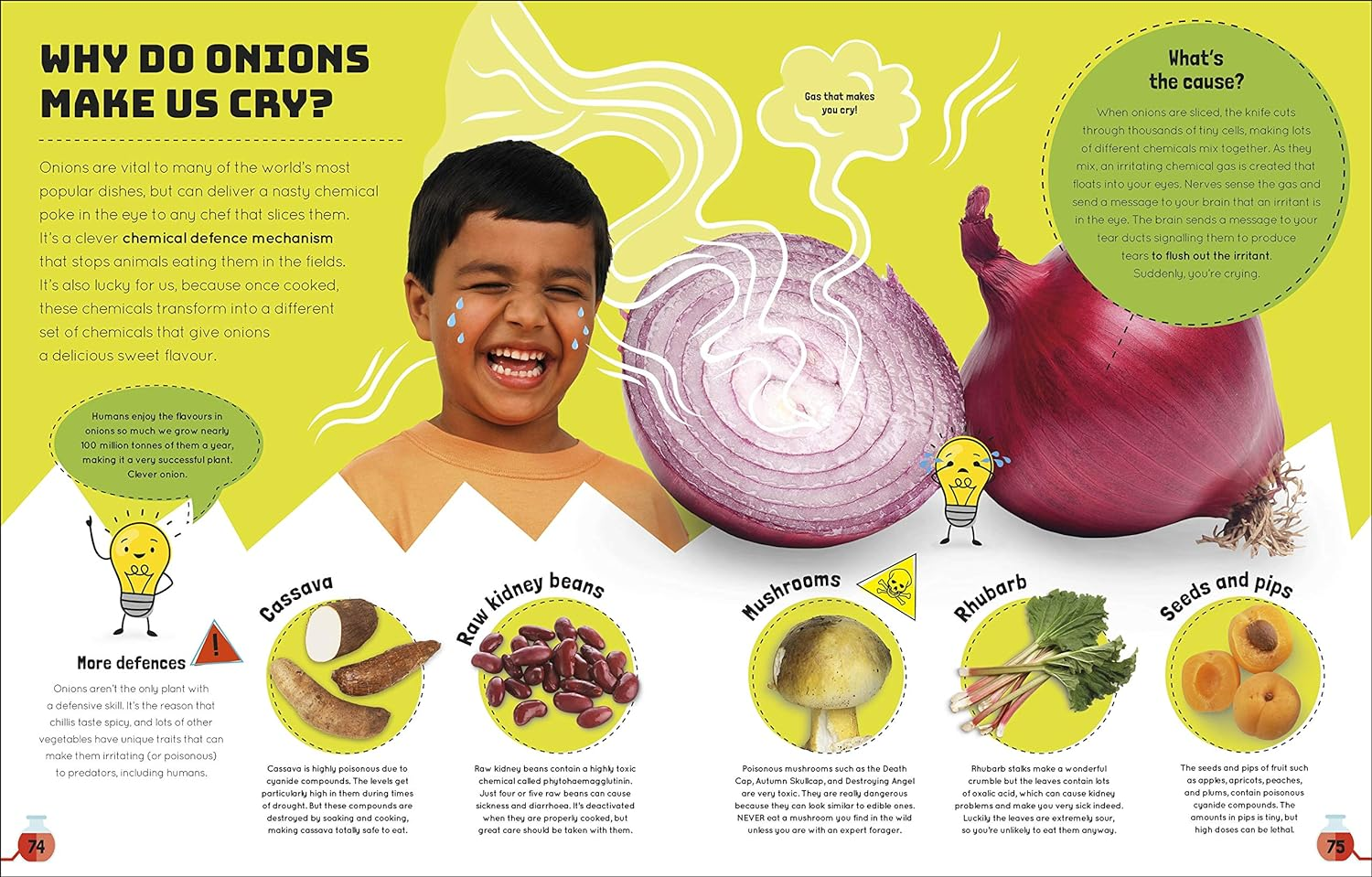 Science You Can Eat: Putting What We Eat under the Microscope image number 6