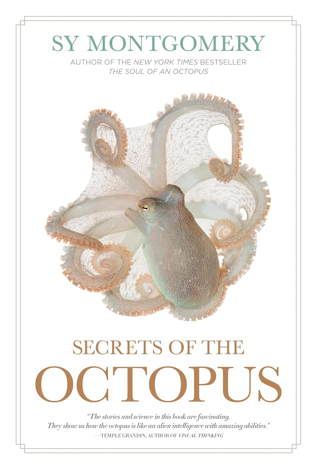 Secrets of the Octopus image number 5
