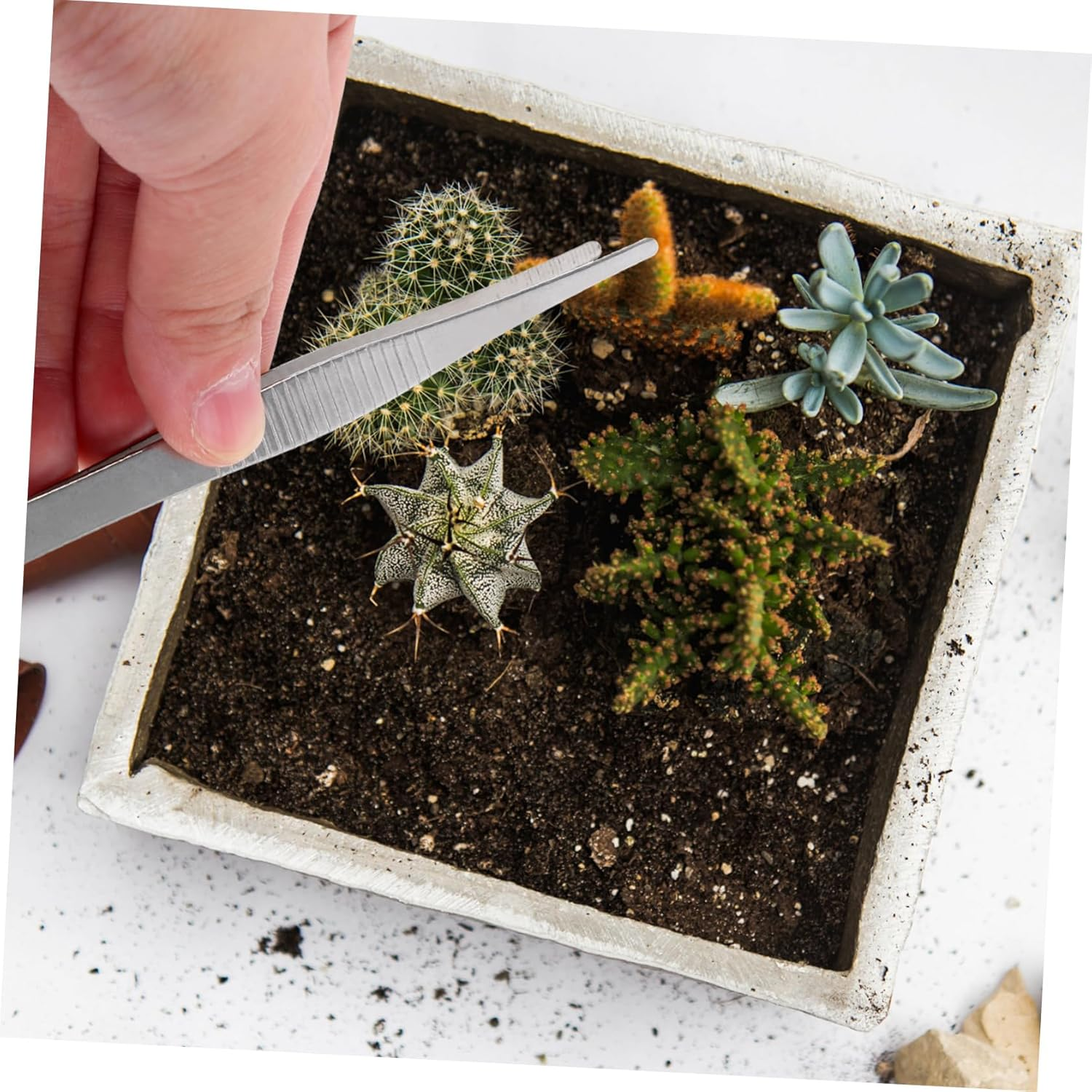 CANIGHT Stainless Steel Gardening Tweezers Set 4-Piece Long Handle Planting Tools for Succulent and 12Cm 18Cm 20Cm 25Cm