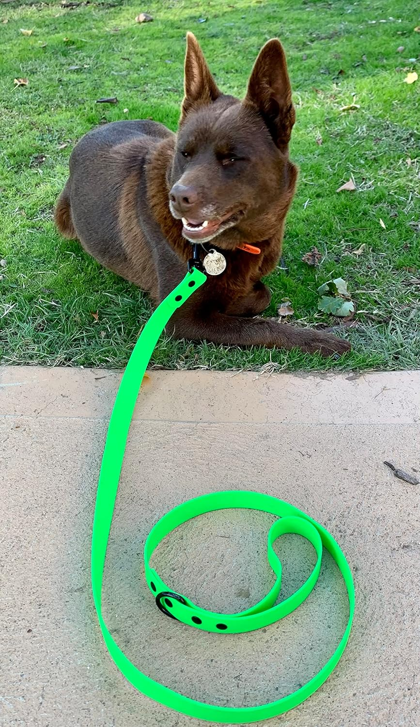 DROVERS Dog and Co Super Tuff Dog Lead - Stink Proof - Easy Clean - Extra Strong (Green) image number 1