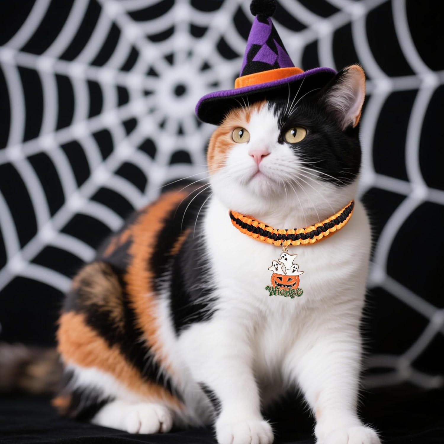 Halloween Cat Collar image number 1
