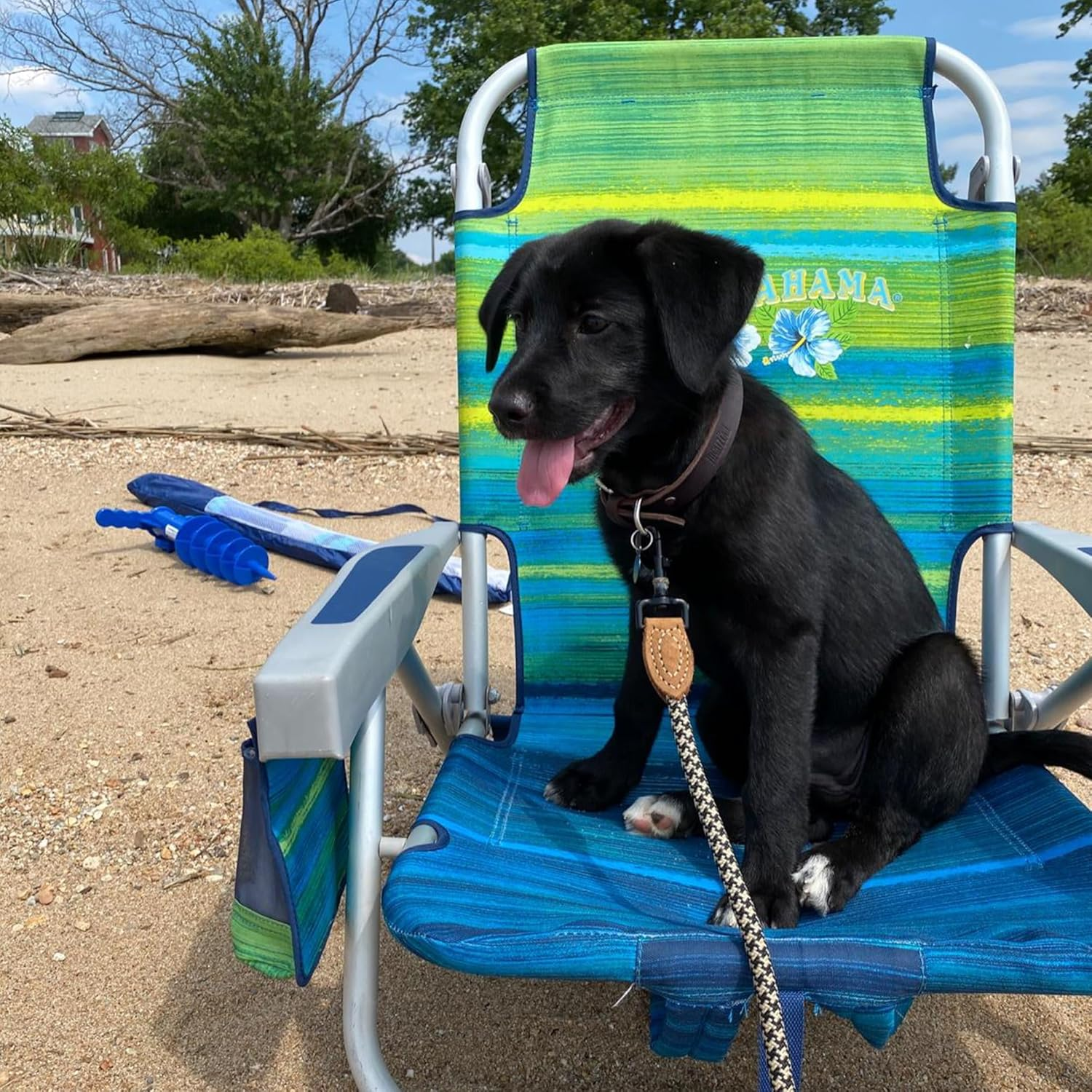 Mile High Life Leather Tailor Reinforce Handle Mountain Climbing Dog Rope Leash with Heavy Duty Metal Sturdy Clasp (Black Khaki, 4 FT)