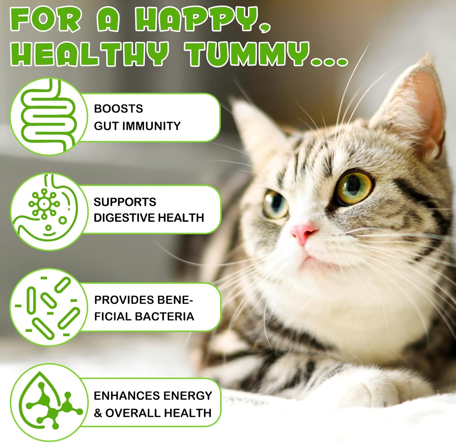 Probiotic for Cats, Natural Pet Probiotic, Pet Supplements, Supports Gut Health, Liquid Probiotic - 60 Ml / 2 Fl.Oz image number 2