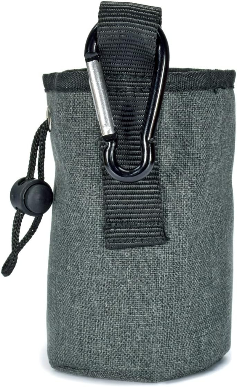 Kong Train and Treat Pet Reward Bag