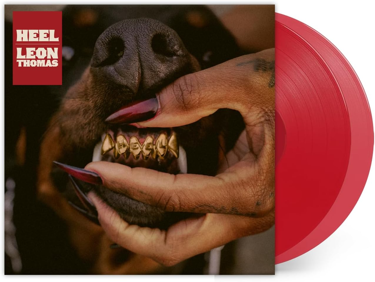 Mutt Deluxe: Heel image number 1